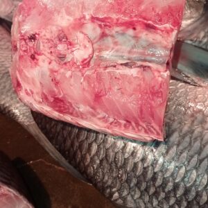 Fresh catla fish belly and shoulder pieces(কাতলা মাছের পেটি এবং গাদা)