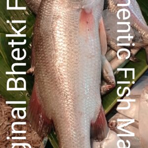 Fresh original bhetki fish(ভেটকি মাছ) approx 2.5 kg