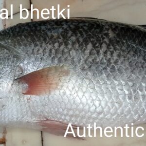 Fresh original bhetki fish extra large( বড় ভেটকি মাছ) approx 6kg