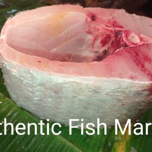 Fresh original bhetki fish belly and shoulder pieces