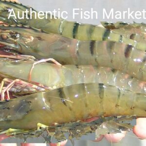 Fresh tiger prawn extra large(বড় বাগদা চিংড়ি মাছ) approx 1kg
