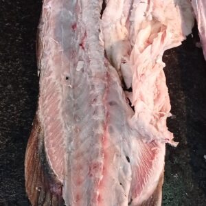 Fresh original bhetki fish bone(ভেটকি মাছের কাঁটা)